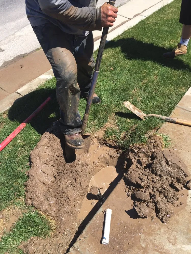 Expert landscape design for beautiful yards across North Ogden, UT - Dr. Sprinkler