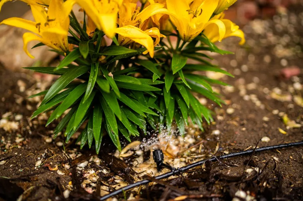 Local residential landscaping in Provo, UT by Dr Sprinkler Repair