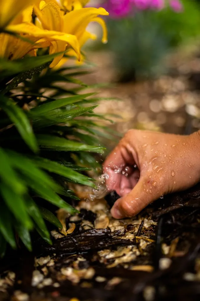 Top-rated yard maintenance for homes across Provo, UT - Dr Sprinkler Repair