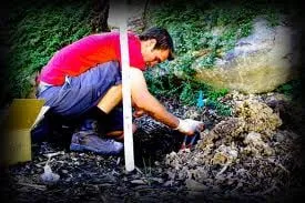 Trusted garden landscaping in Provo, UT by Dr Sprinkler Repair