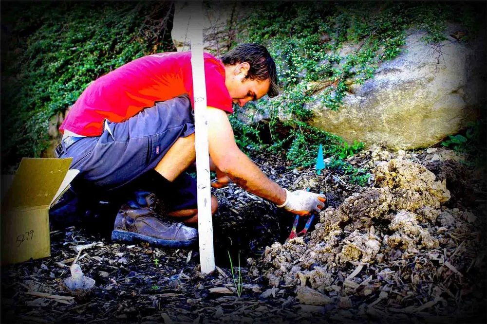 Custom lawn mowing service in West Jordan, UT - Dr Sprinkler Repair