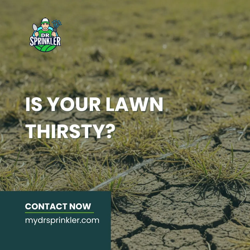 Custom garden landscaping for outdoor upgrades across Sherman Oaks, CA - Dr Sprinkler