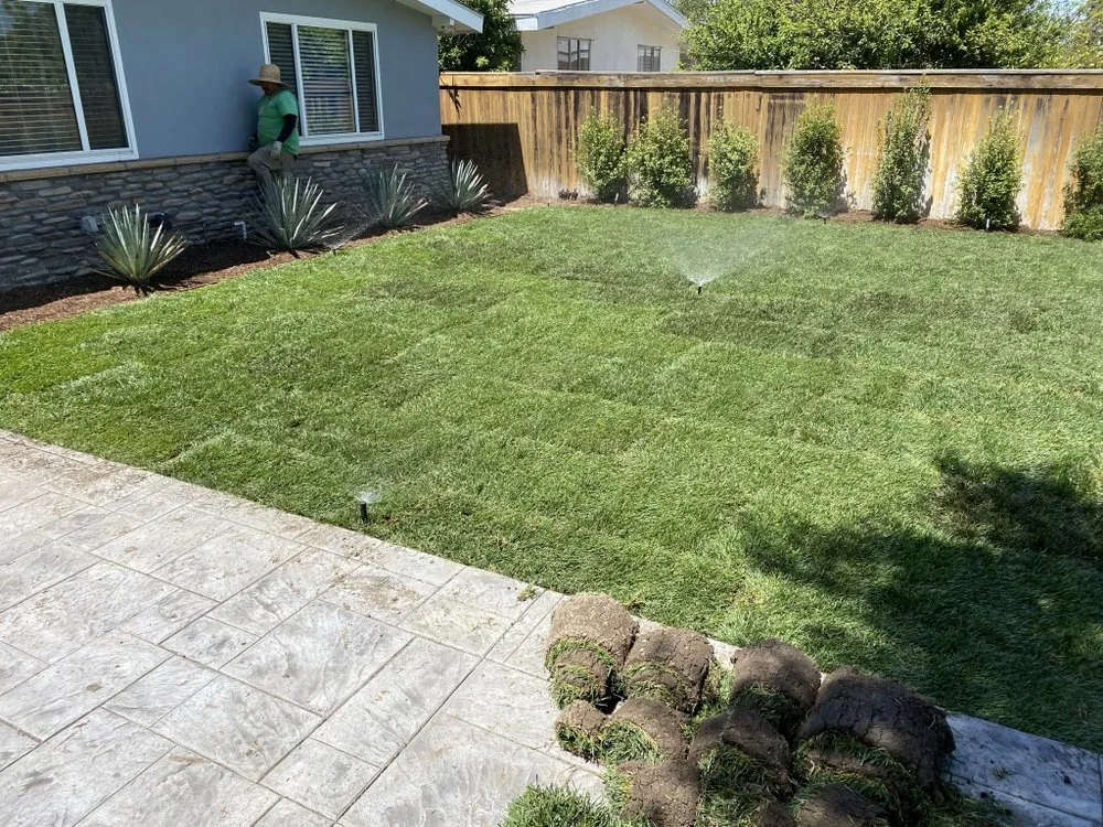 Custom yard cleanup service experts serving Sherman Oaks, CA - Dr Sprinkler