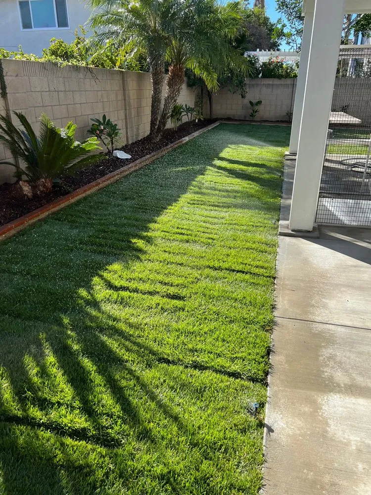 Custom yard cleanup service in Sherman Oaks, CA - Dr Sprinkler