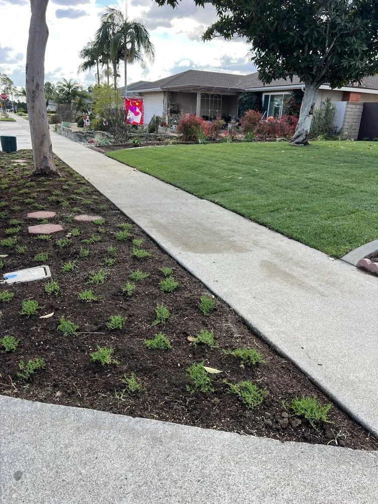 Local garden landscaping for outdoor upgrades in Sherman Oaks, CA by Dr Sprinkler