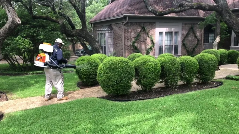 Top-rated lawn mowing service experts serving Austin, TX - Dr Tex Lawn & Pest