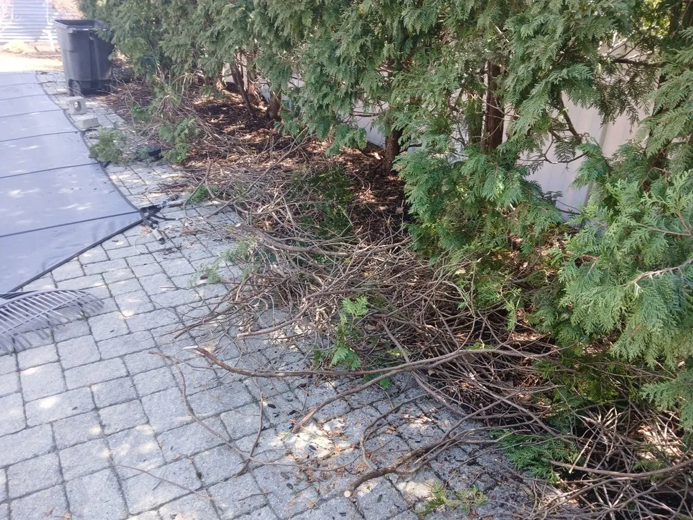 Top-rated garden landscaping in Torrington, CT - Dr Tree & Landscape