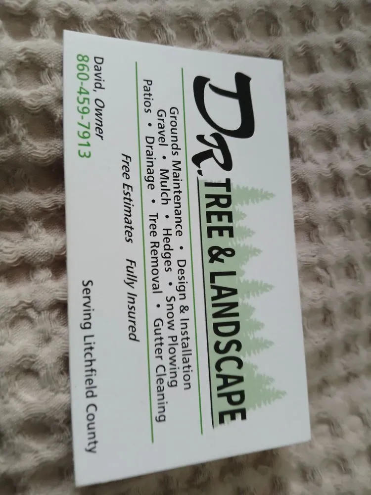 Reliable landscape installation for outdoor upgrades across Torrington, CT - Dr Tree & Landscape