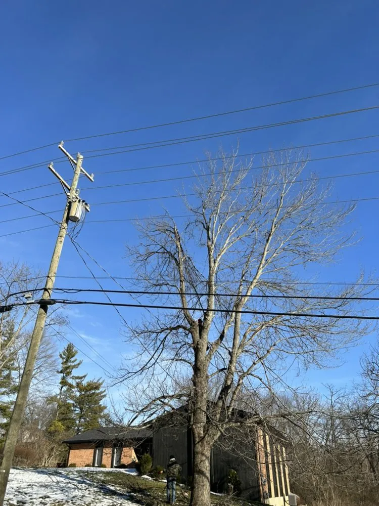 Expert landscape installation experts serving Westerville, OH - D&R Tree And Landscaping