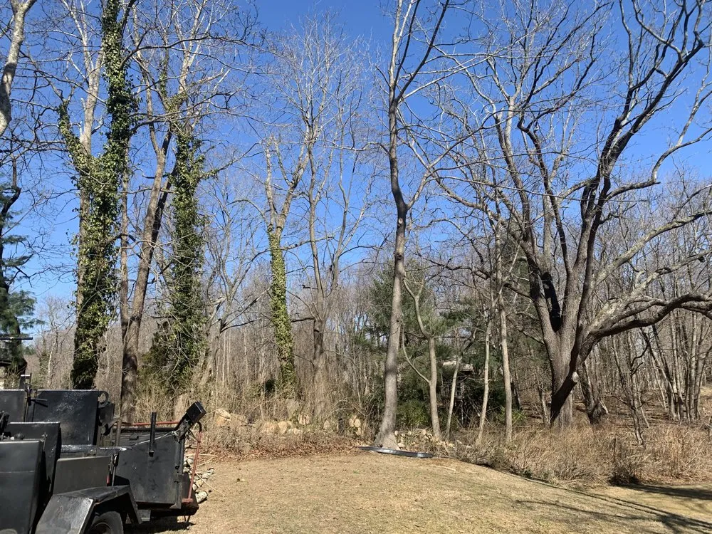 Top-rated garden landscaping for homes in Huntington Station, NY by D&R Tree and Lawn Service’s