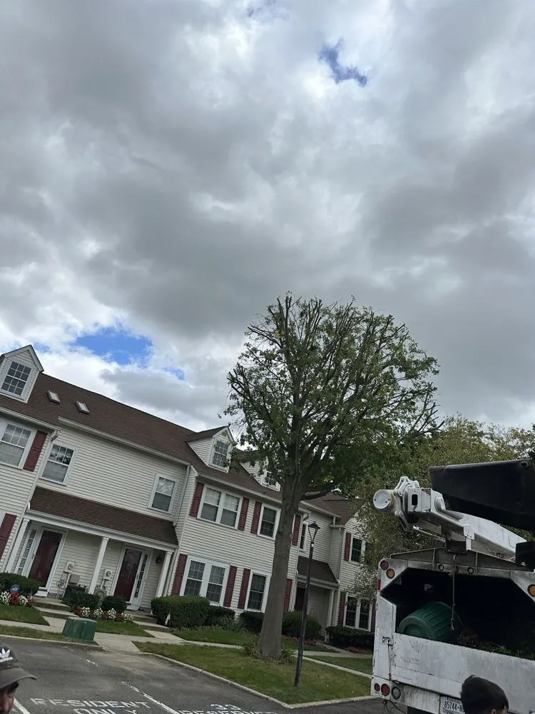 Trusted landscape installation experts serving Huntington Station, NY - D&R Tree and Lawn Service’s