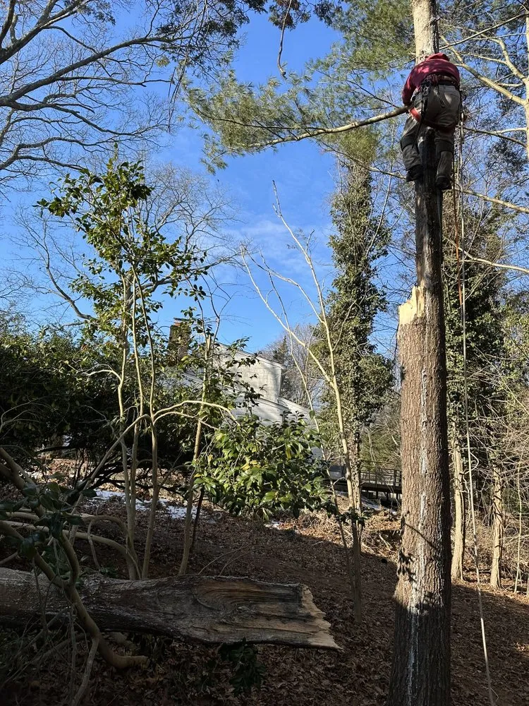 Top-rated outdoor landscaping experts serving Huntington Station, NY - D&R Tree and Lawn Service’s