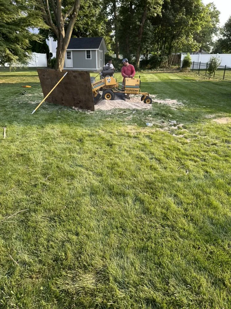 Custom yard cleanup service in Huntington Station, NY - D&R Tree and Lawn Service’s