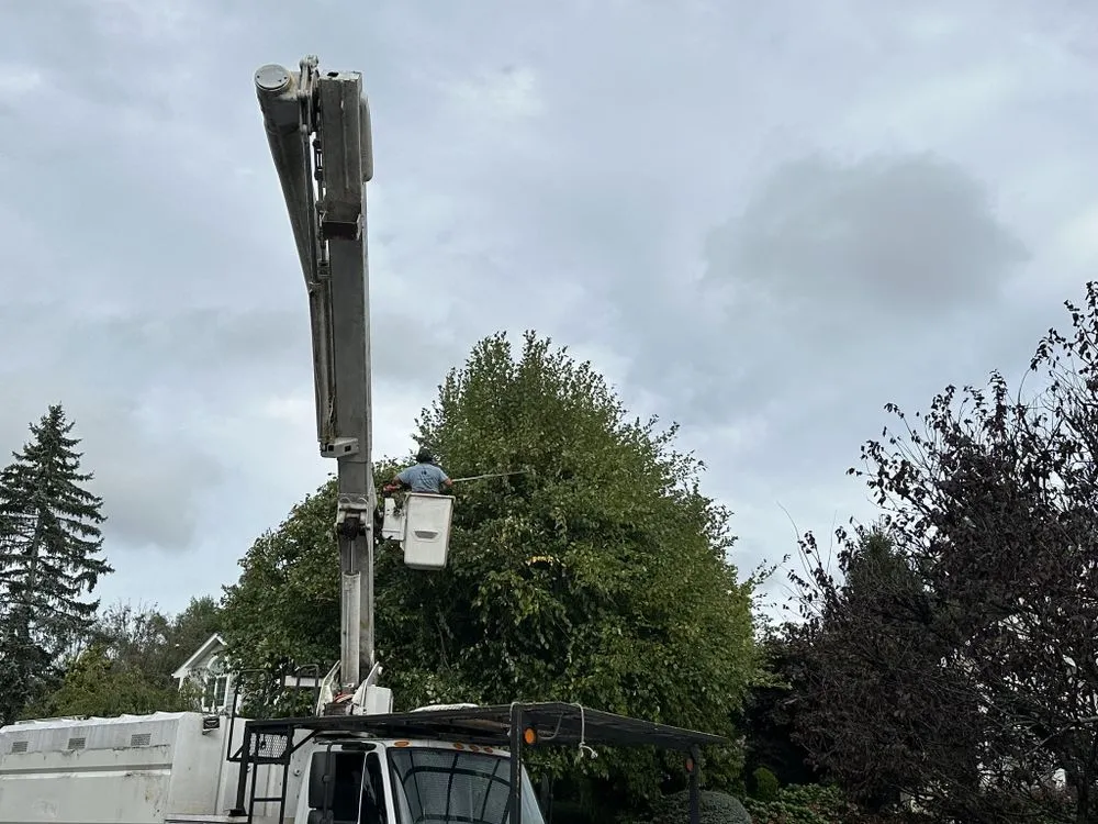 Expert landscape installation in Huntington Station, NY by D&R Tree and Lawn Service’s