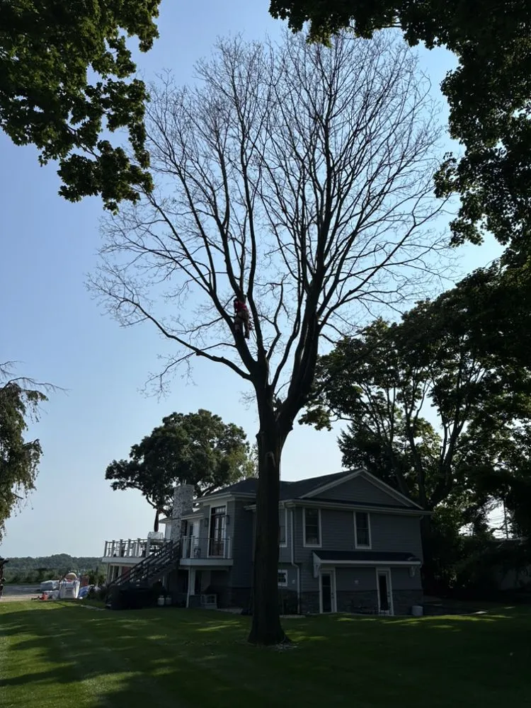 Local garden landscaping for outdoor upgrades in Huntington Station, NY by D&R Tree and Lawn Service’s