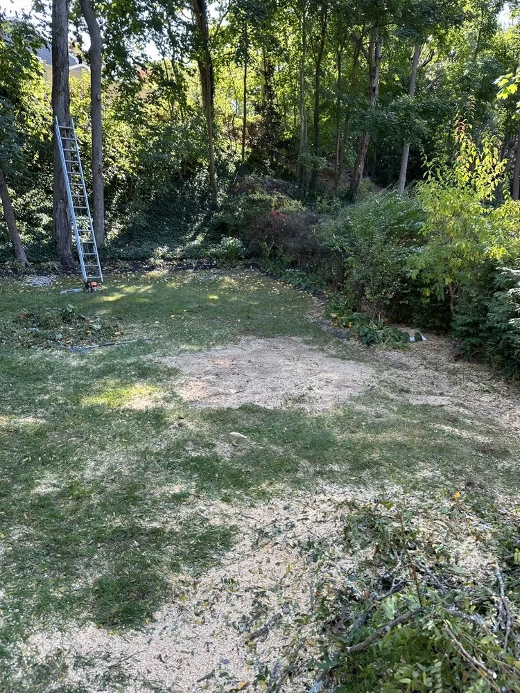 Expert yard maintenance for outdoor upgrades in Huntington Station, NY by D&R Tree and Lawn Service’s