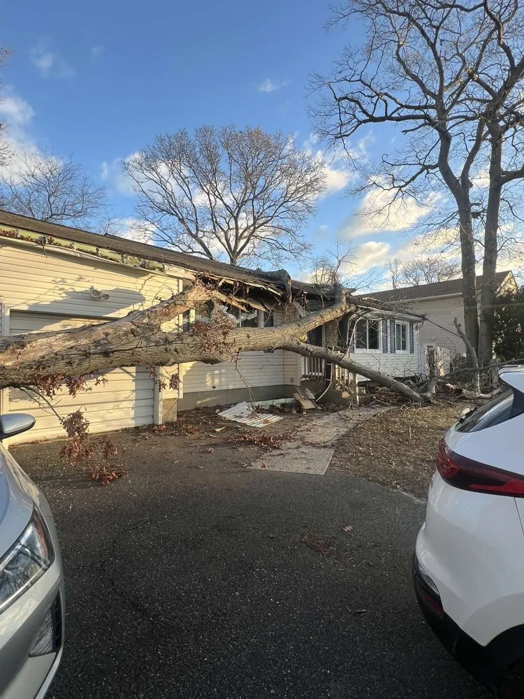 Professional residential landscaping in Huntington Station, NY - D&R Tree and Lawn Service’s