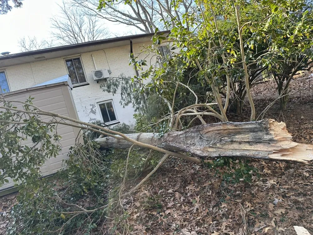 Expert garden landscaping in Huntington Station, NY by D&R Tree and Lawn Service’s