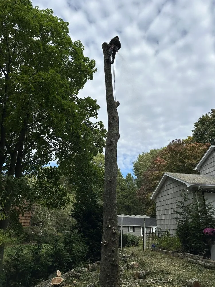 Professional garden landscaping experts serving Huntington Station, NY - D&R Tree and Lawn Service’s