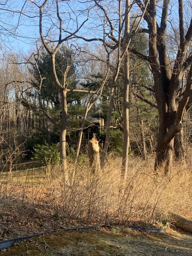 Professional landscaping services experts serving Huntington Station, NY - D&R Tree and Lawn Service’s