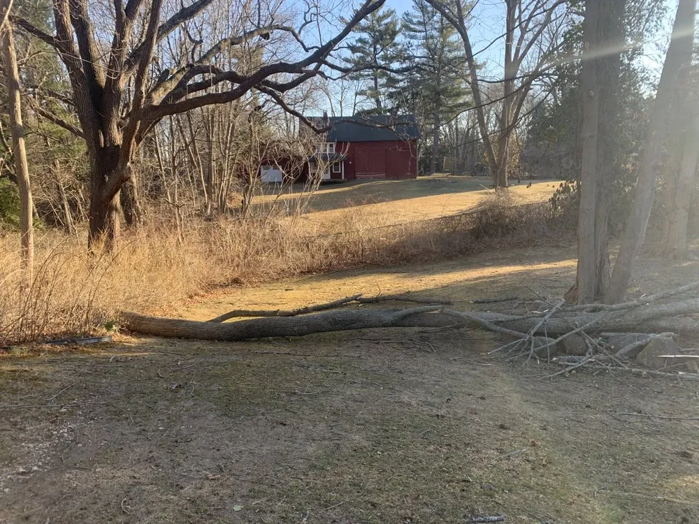 Custom garden landscaping experts serving Huntington Station, NY - D&R Tree and Lawn Service’s