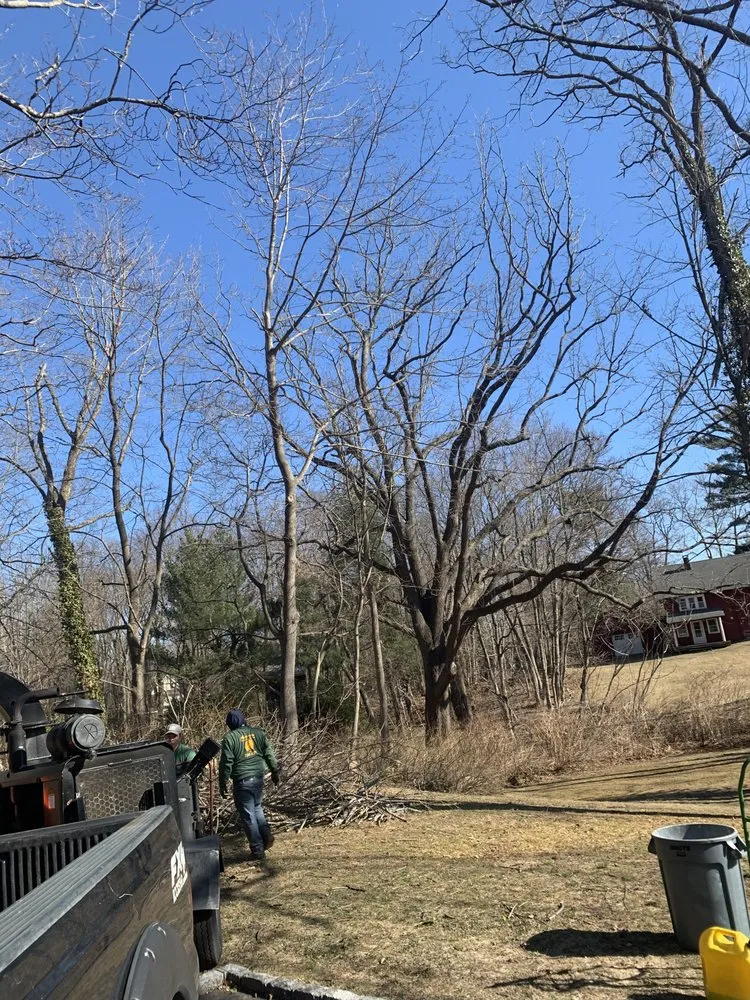 Custom residential landscaping for year-round maintenance across Huntington Station, NY - D&R Tree and Lawn Service’s