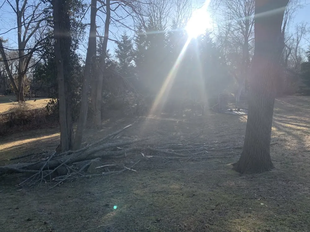 Professional residential landscaping in Huntington Station, NY - D&R Tree and Lawn Service’s