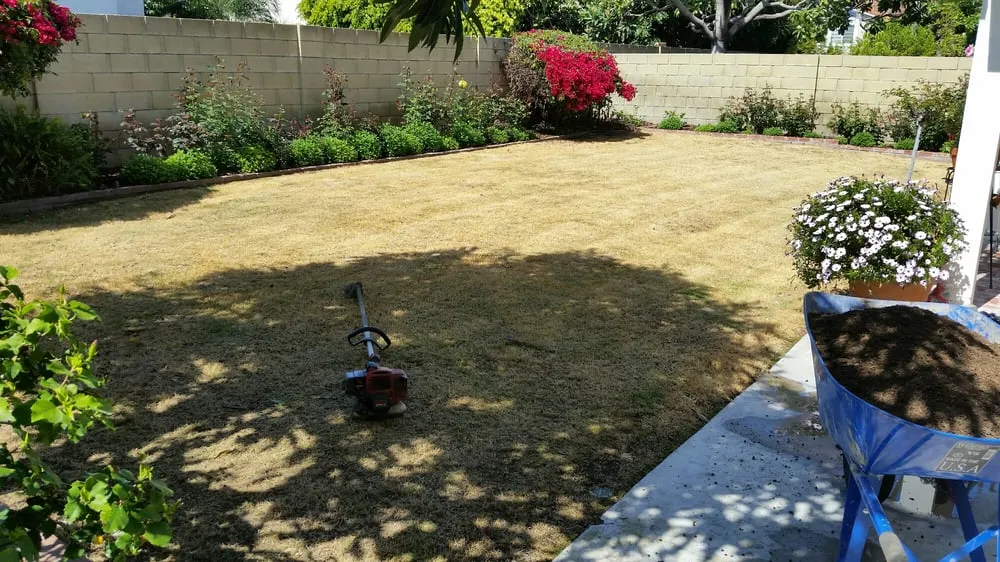 Affordable residential landscaping for year-round maintenance in Anaheim, CA by D&R Tree Services