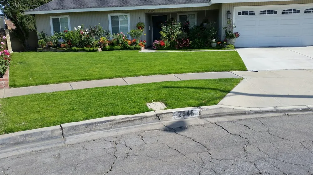 Affordable outdoor landscaping near you in Anaheim, CA by D&R Tree Services