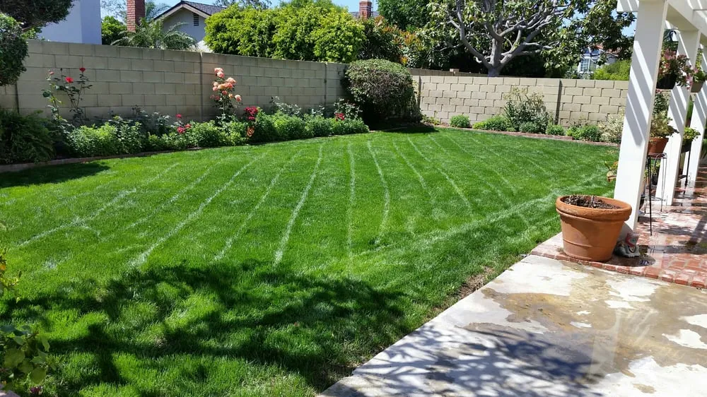 Affordable landscaping services in Anaheim, CA - D&R Tree Services
