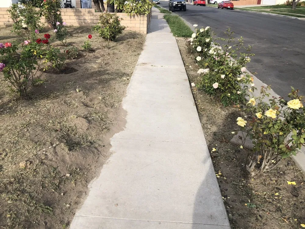 Affordable outdoor landscaping in Anaheim, CA by D&R Tree Services