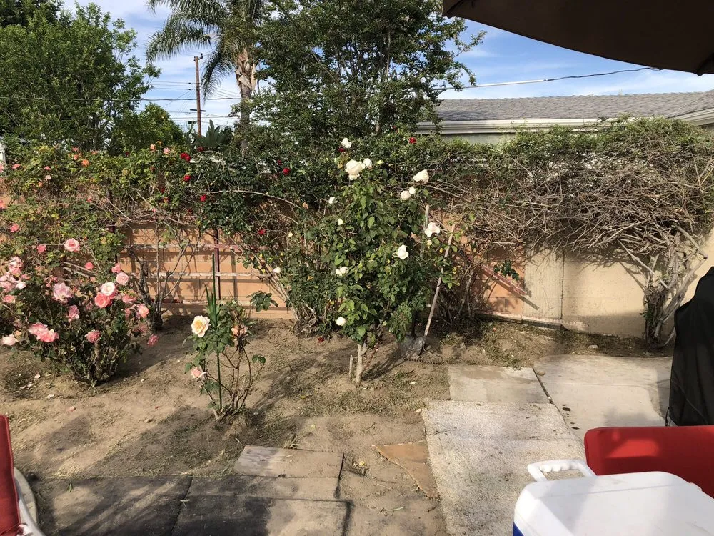 Custom garden landscaping for beautiful yards in Anaheim, CA by D&R Tree Services