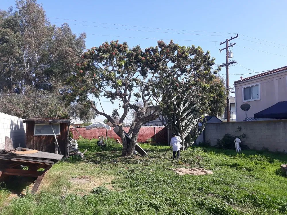 Reliable outdoor landscaping with custom design across Anaheim, CA - D&R Tree Services