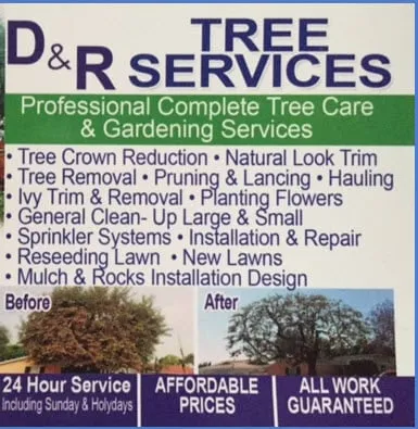 Affordable landscape installation in Anaheim, CA by D&R Tree Services