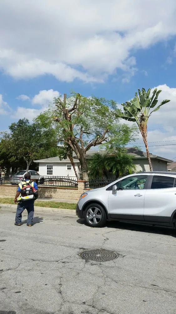 Local landscape design near you in Anaheim, CA by D&R Tree Services