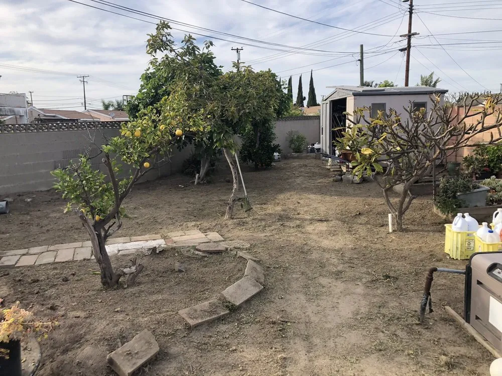 Reliable lawn mowing service in Anaheim, CA by D&R Tree Services