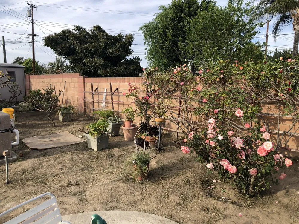 Affordable garden landscaping for outdoor upgrades across Anaheim, CA - D&R Tree Services