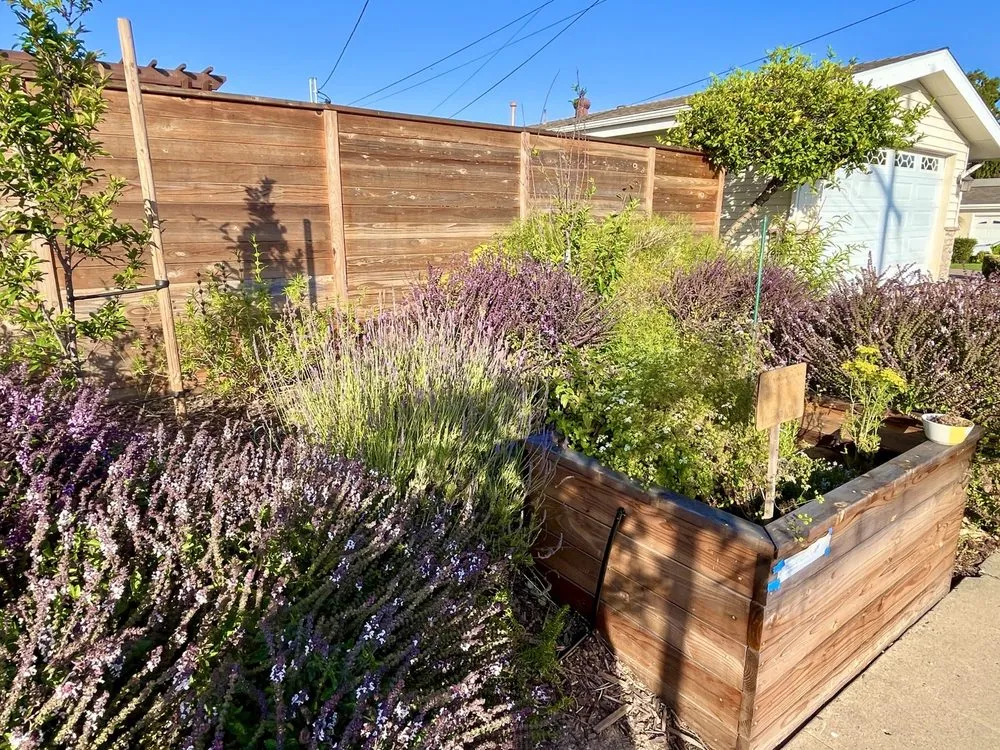 Custom landscape design for homes across San Diego, CA - Drab To Fab