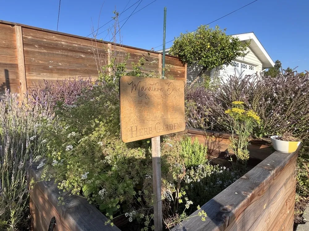 Affordable landscaping services for outdoor upgrades across San Diego, CA - Drab To Fab