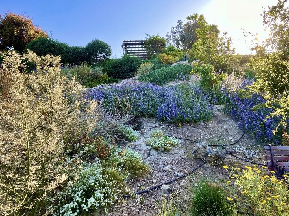 Custom residential landscaping for beautiful yards across San Diego, CA - Drab To Fab