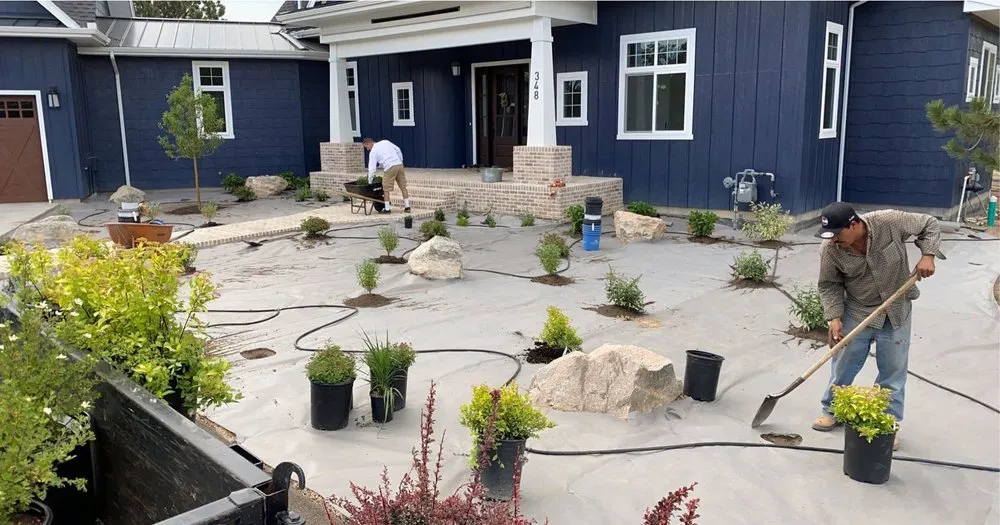 Reliable lawn care service experts serving Castle Rock, CO - Draftsmen