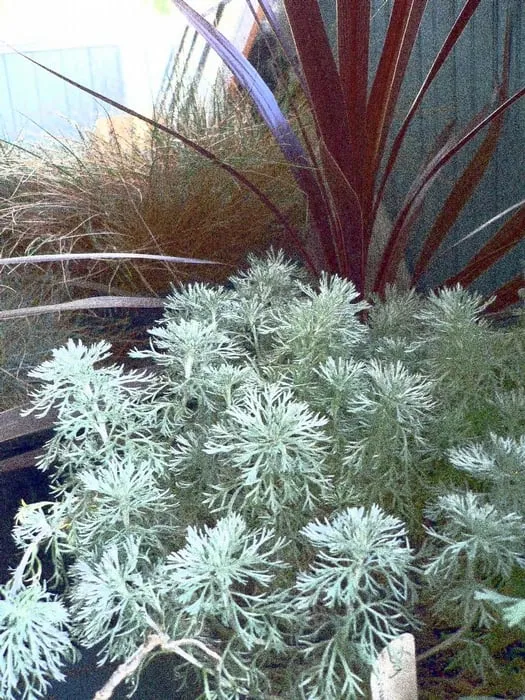 Expert lawn mowing service for homes in Boise, ID by Draggin' Wing High Desert Nursery