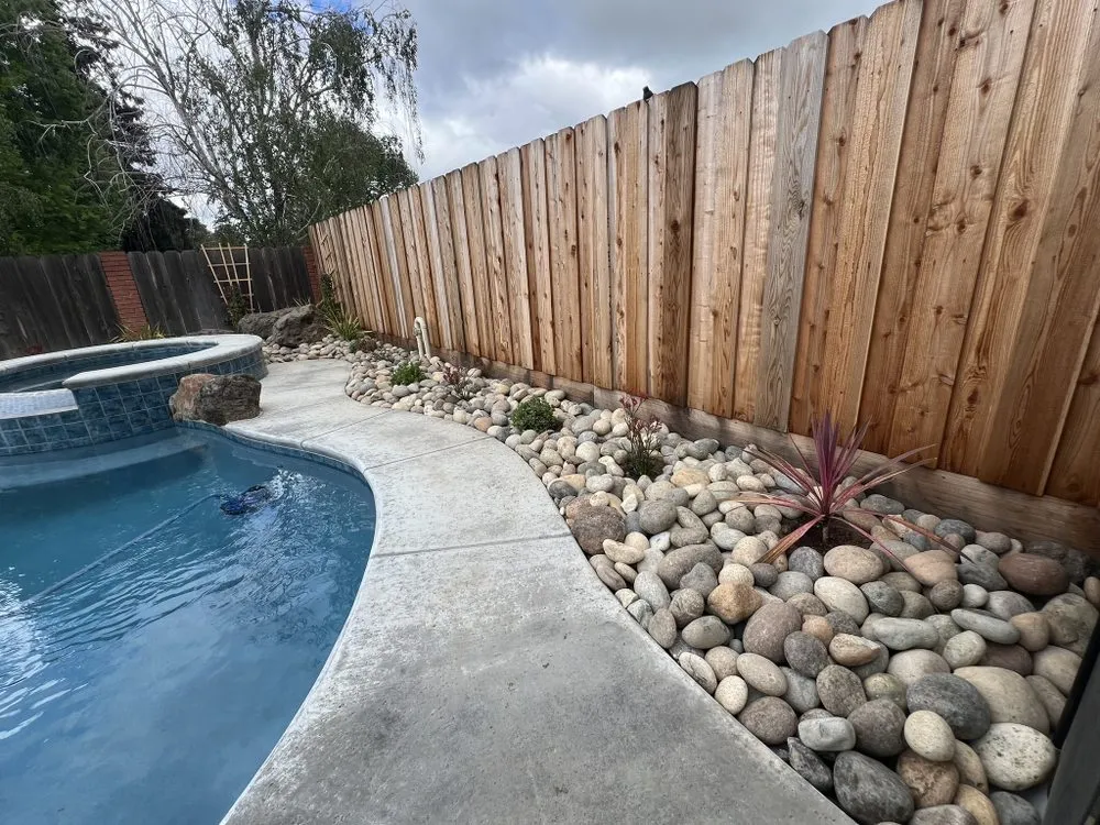 Trusted yard cleanup service in Stockton, CA - Drago