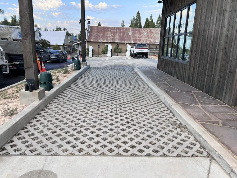 Top-rated yard cleanup service in Stockton, CA - Drago