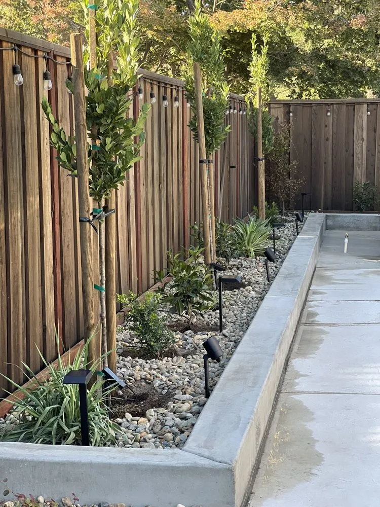Custom yard cleanup service for year-round maintenance across Stockton, CA - Drago