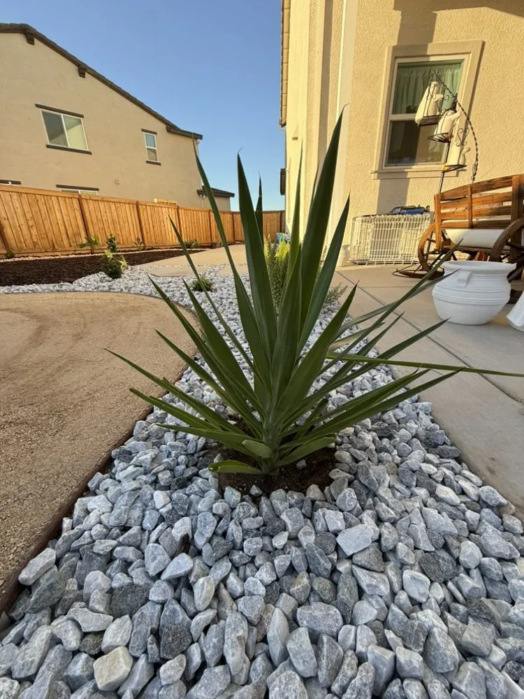 Expert landscape design experts serving Stockton, CA - Drago