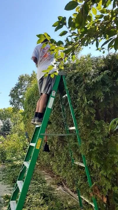 Top-rated outdoor landscaping in Lincoln, NE by Dragon & Son Lawn Care Services/D&S Snow Removal services