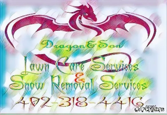 Dragon & Son Lawn Care Services/D&S Snow Removal services Logo