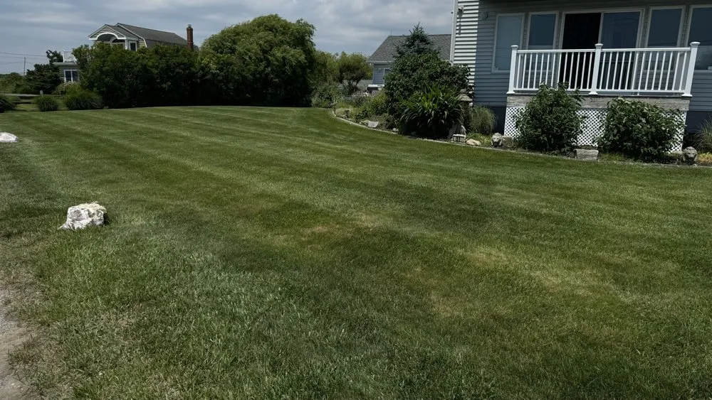 Local yard cleanup service experts serving Mastic, NY - Dragon Ball Landscaping