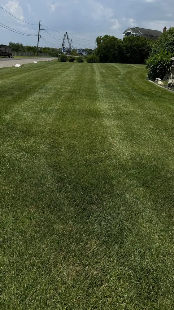 Top-rated yard cleanup service for year-round maintenance across Mastic, NY - Dragon Ball Landscaping